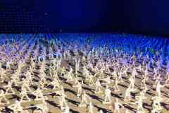 Atten-Hut Art Project : La Piscine