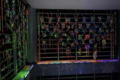 Project Mixed Inter-Mix