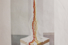Magazine Northern living - August 2014, Volume 8/ Issue 12: Subject and Object